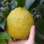Gerani 3* Astypálaia