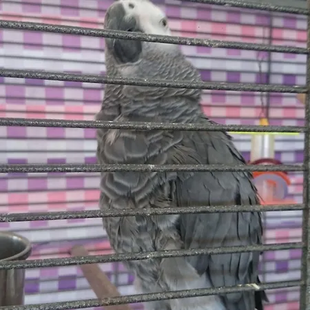 Gerani 3* Astypálaia