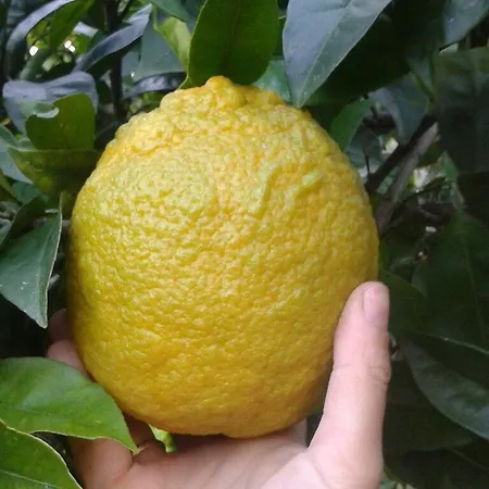 Gerani 3* Astypálaia