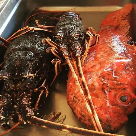 מלון דירות Gerani 3*