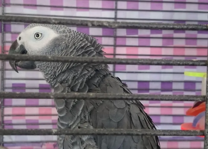 Apartmanhotel Gerani