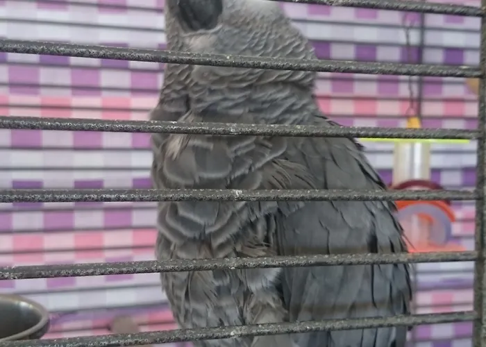 Gerani 3* Astypálaia