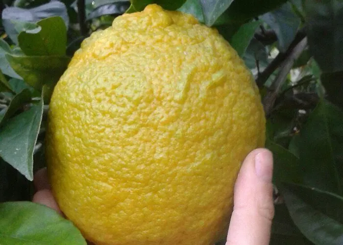 Gerani 3* Astypálaia